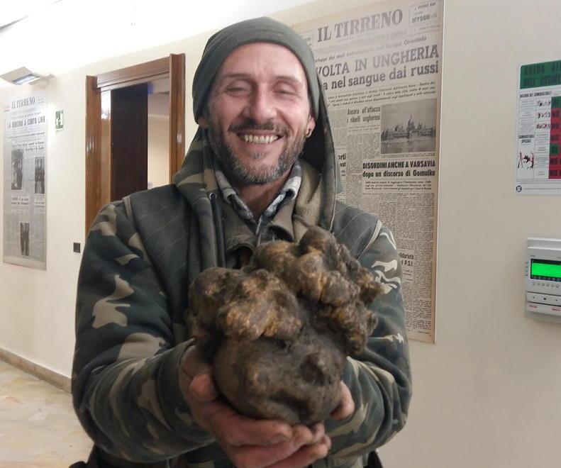 C’è già un compratore per il maxi tartufo trovato da un livornese 