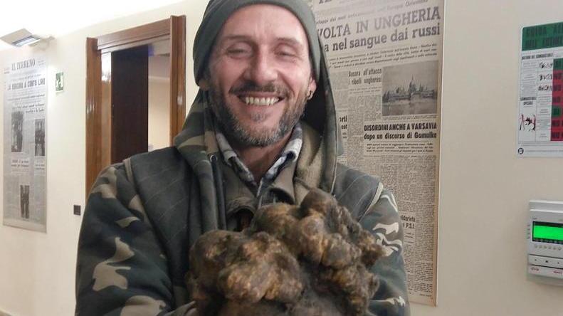 C’è già un compratore per il maxi tartufo trovato da un livornese