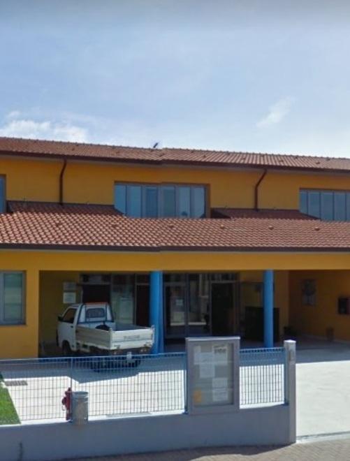 Nuovi alberi da frutto davanti alle medie di Massarosa