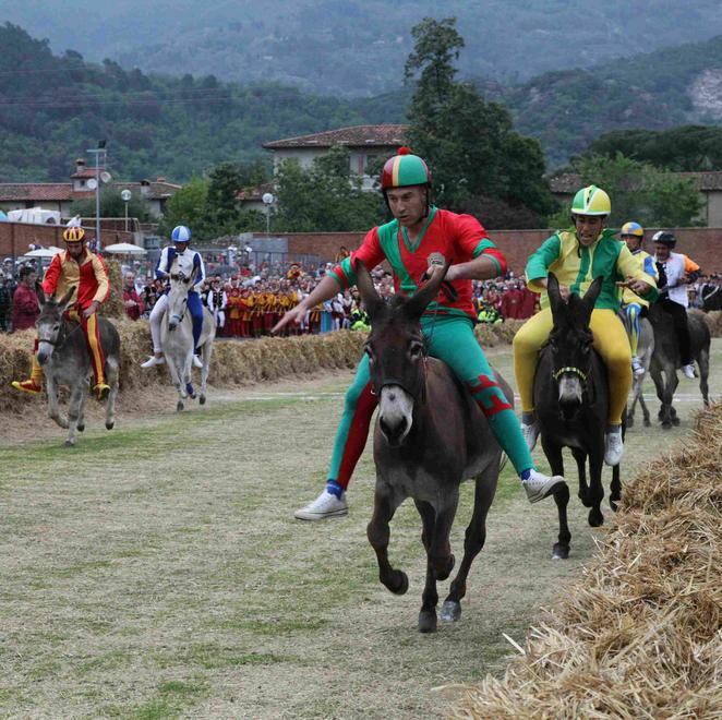 Ecco il calendario del Palio dei Micci 2019 Si riparte dalla musica