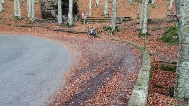 I ladri rubano la staccionata dal sito per picnic