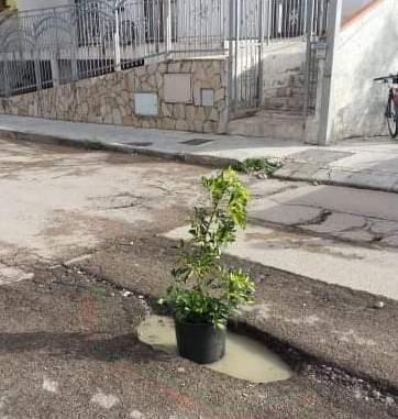 Sassari, dalle buche affiora una pianta 