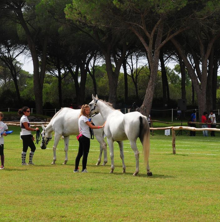 Veterinari a confronto sulla febbre del Nilo 