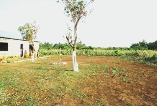 Sopra Marzena e Mimo con i bambini di Kizingo, in alto da sinistra l’area destinata a ospitare l’orfanotrofio e altre strutture per l’infanzia, i bimbi del villaggio e la nuova scuola (prima della sistemazione degli infissi)