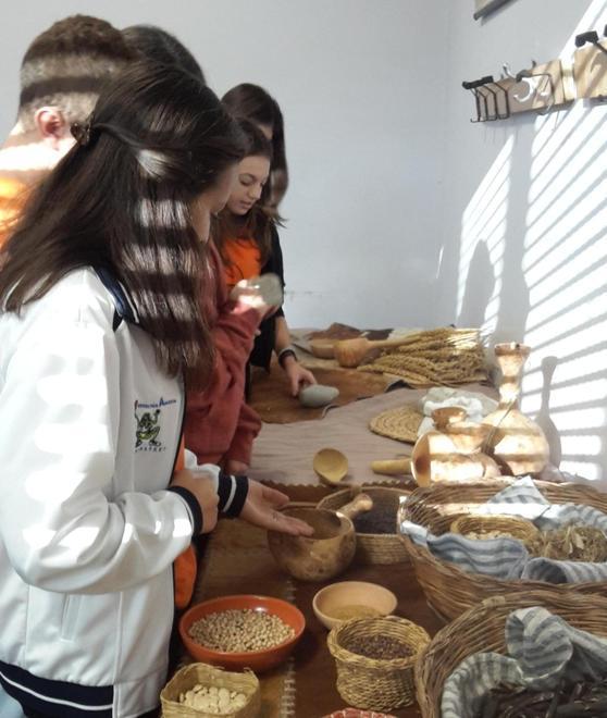 La preistoria studiata attraverso gli alimenti