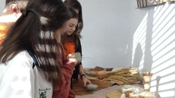 La preistoria studiata attraverso gli alimenti