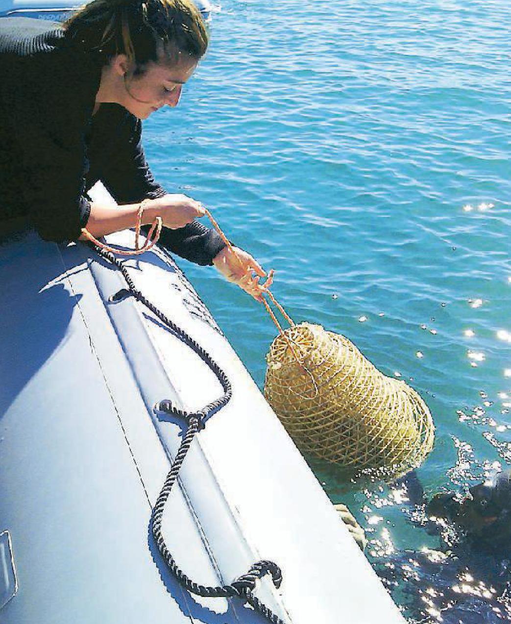 Una delle ceste di vimini immerse in mare
