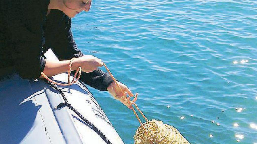 Una delle ceste di vimini immerse in mare