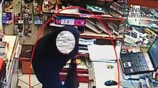 Ripresa dalla telecamera mentre ruba in libreria