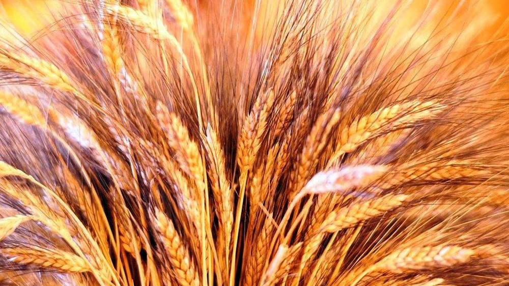Polo agroalimentare, la Provincia cerca un gestore