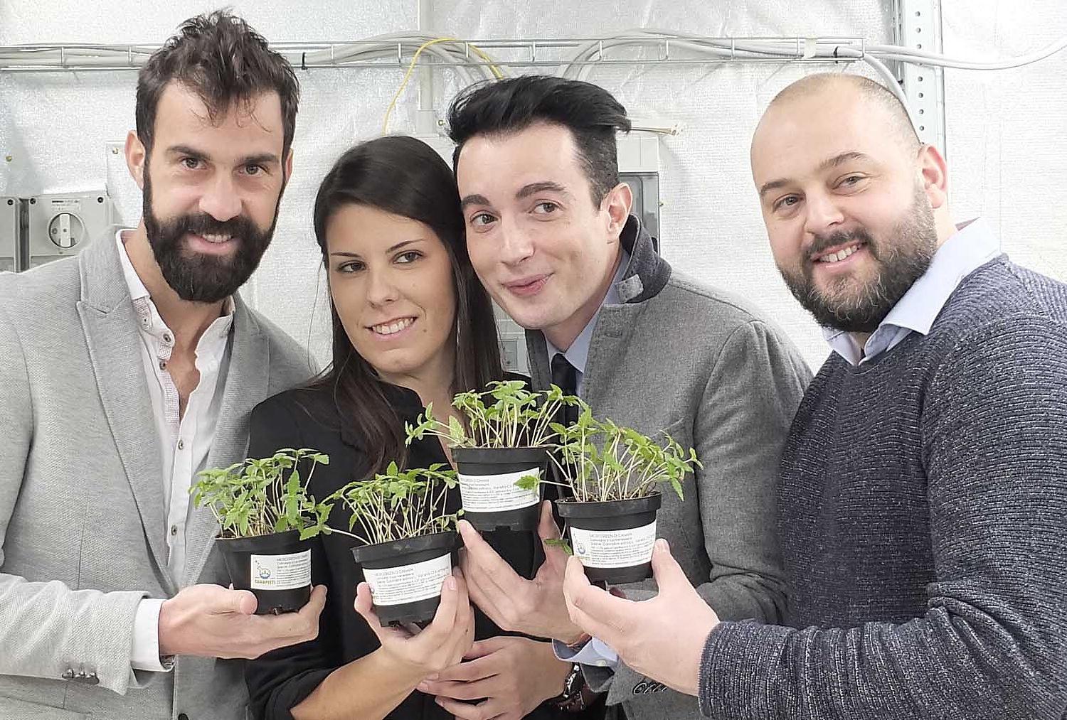 Ecco la canapa che fa bene consigliata nelle diete