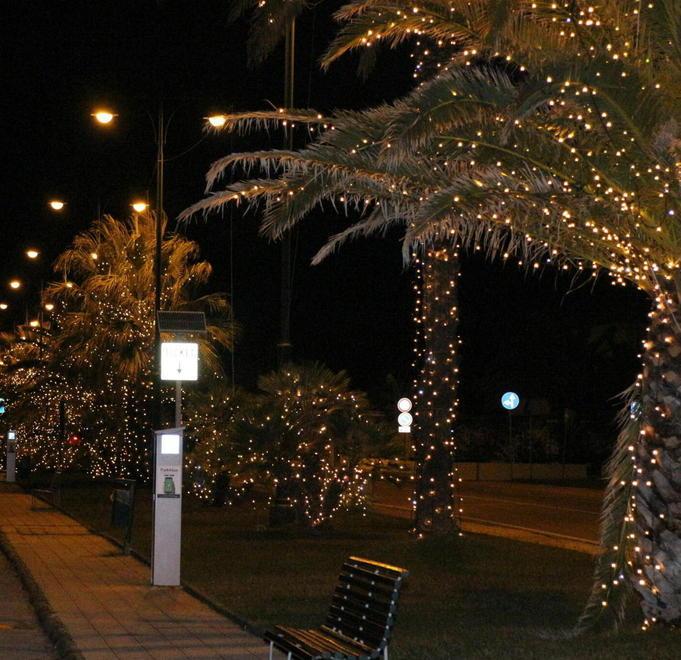 Colletta da centomila euro per gli addobbi natalizi 