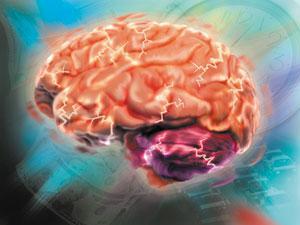 Operare il cervello da svegliora si può anche a Livorno