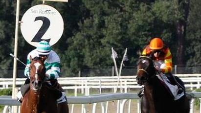 Premio Tolousienne, un bellissimo finale firmato Middle Gray