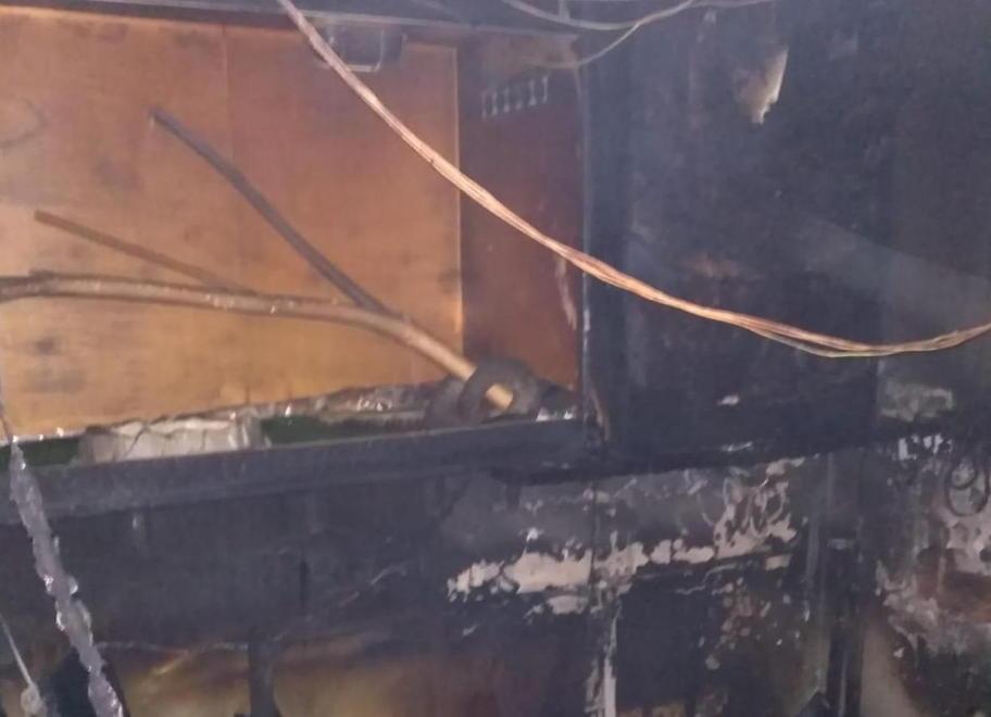 Incendio nel rettilario, muoiono tre animali 