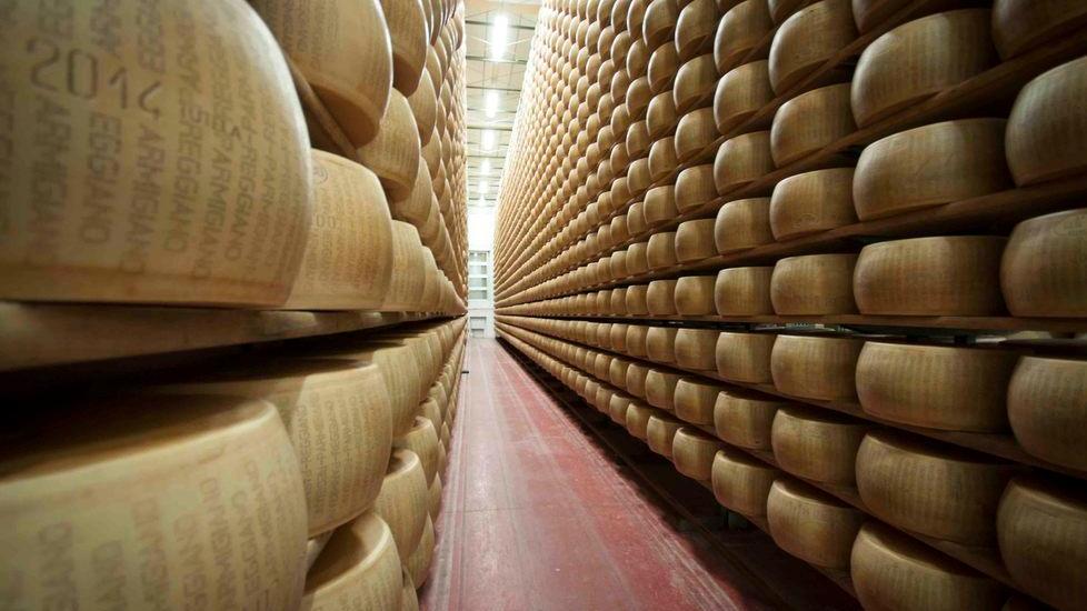 Parmigiano Reggiano verso il record storico di forme prodotte