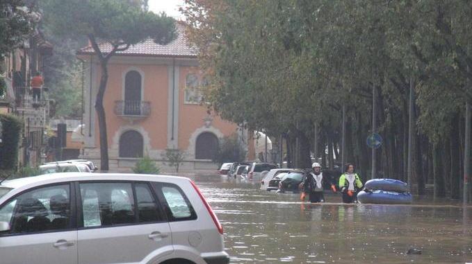 Carrara: prende il contributo ma non le spetta, a processo
