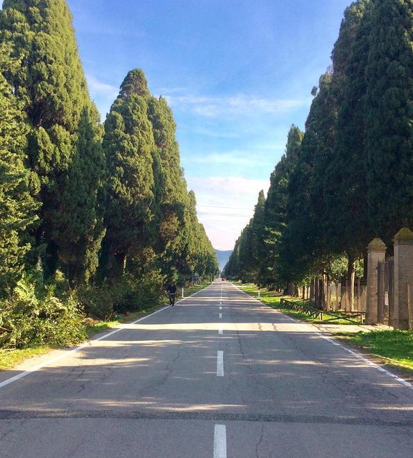 Viale patrimonio dell’Unesco ne discuterà la 3ª commissione 