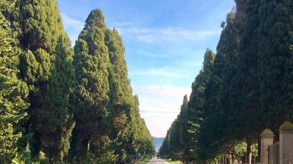 Viale patrimonio dell’Unesco ne discuterà la 3ª commissione