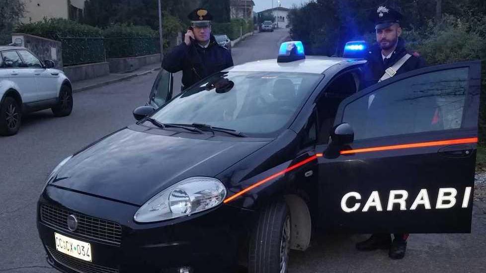 Morsa alla testa dal cane Donna in prognosi riservata