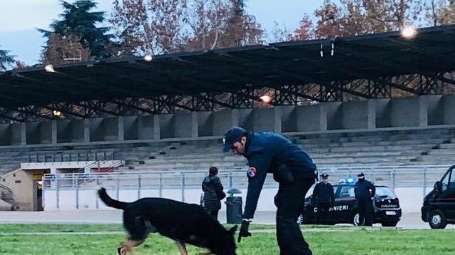Controlli con i cani anti droga al Novi Sad