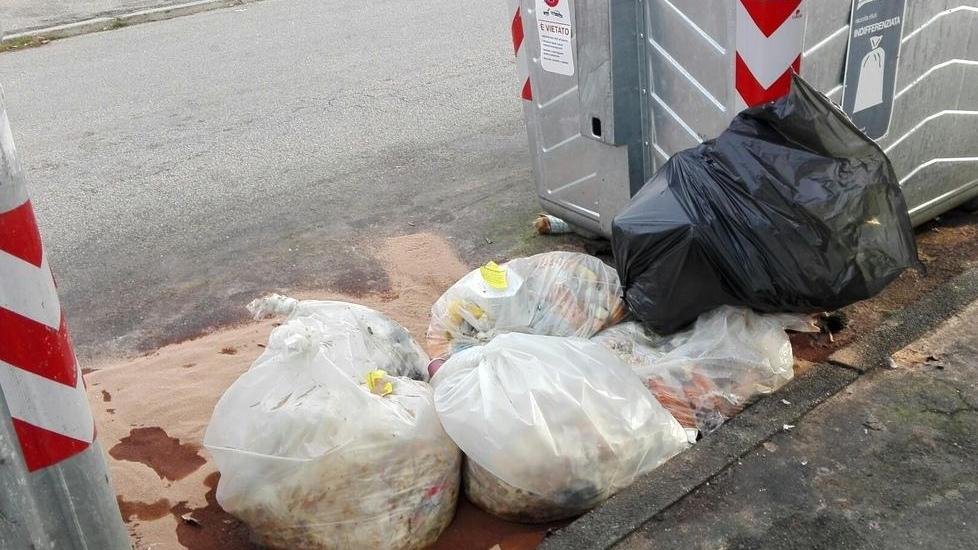 Rifiuti lasciati in strada Il cartellino giallo però non risolve il problema