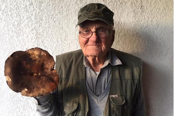 Fungaiolo di 89 anni trova un super porcino nel bosco di Bibbona