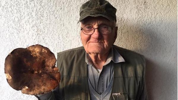 Fungaiolo di 89 anni trova un super porcino nel bosco di Bibbona