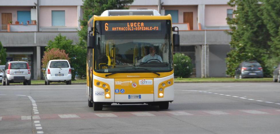Da oggi la navetta per Lucca è attiva anche di domenica 