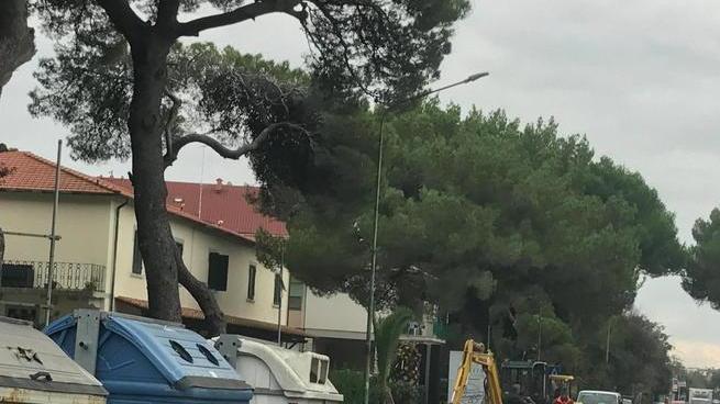 Tre mesi di lavori sull’Aurelia a Caletta Scatta il divieto di sosta