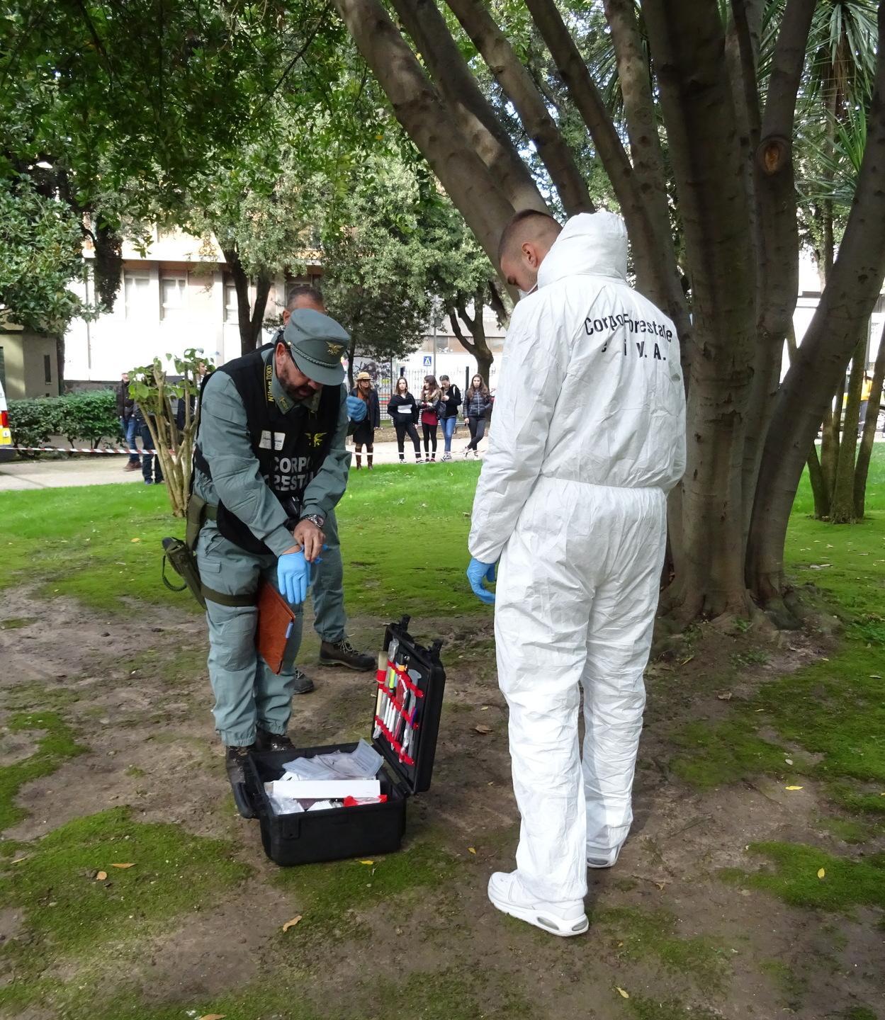 Cento animali all’anno uccisi da esche avvelenate 