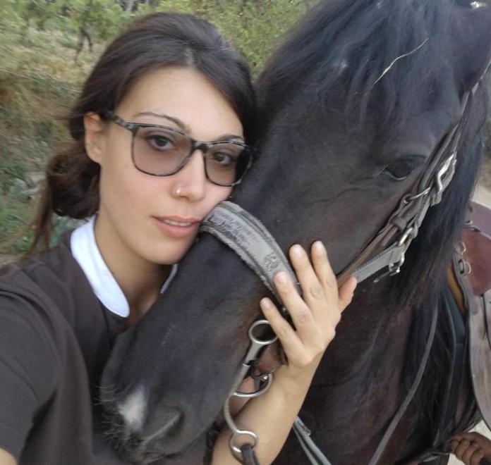 Ritrovati i due cavalli Frisoni che erano spariti alla Catena 