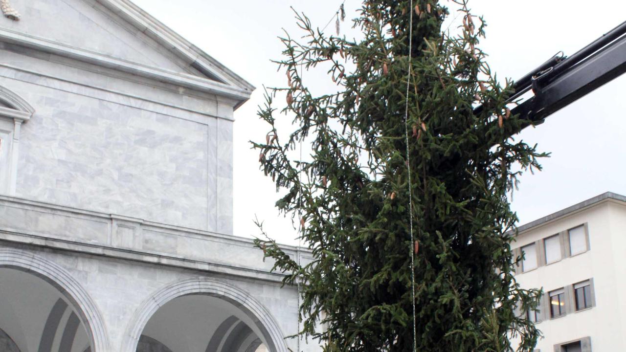 In piazza Grande arriva l'albero di Natale
