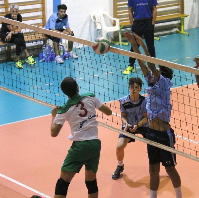Pallavolo