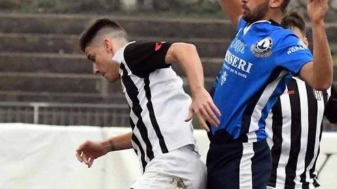 Zebre sull’orlo del baratro Capitan Cruciani: «Aiutateci»