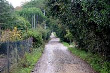 Schianto in motocicletta, gravissimo 17enne