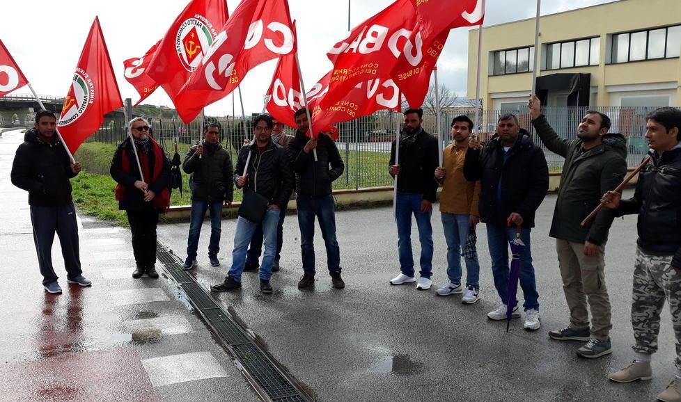 Scoppia di nuovo la guerra del pane Coop sospende il contratto col Panificio 