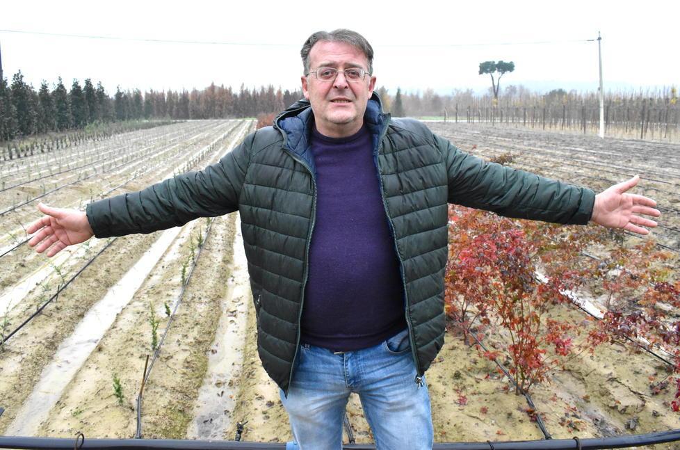 Furti nei vivai a Pistoia, spariti altri 1.000 alberelli: «Danni da 50.000 euro alla settimana» 