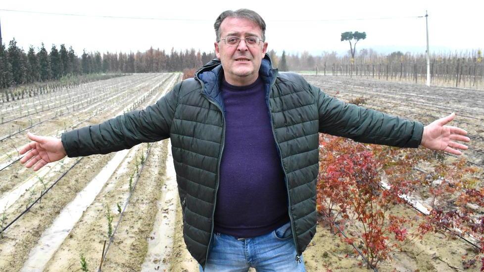 Furti nei vivai a Pistoia, spariti altri 1.000 alberelli: «Danni da 50.000 euro alla settimana»