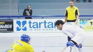 <strong>GIOCO.</strong> Molina in azione sotto la porta avversaria (foto Pellegrinetti)