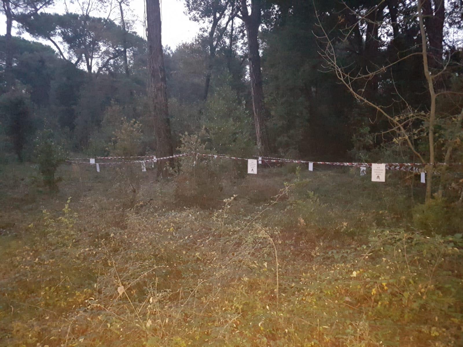 Fungaiolo trova un ordigno bellico in Versiliana, isolata l'area 