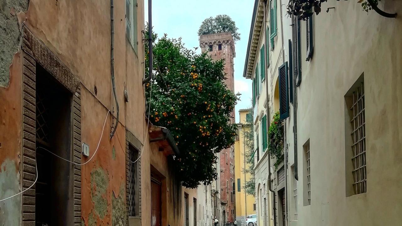 Via delle chiavi d'oro e il grande arancio