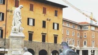Il sindaco dichiara guerra ai piccioni