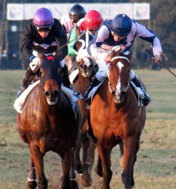Checkmark vola e vince il premio Rosenberg 