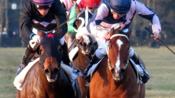 Checkmark vola e vince il premio Rosenberg