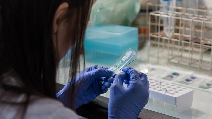 “Scippo” dei laboratori d’analisi la protesta arriva in Consiglio