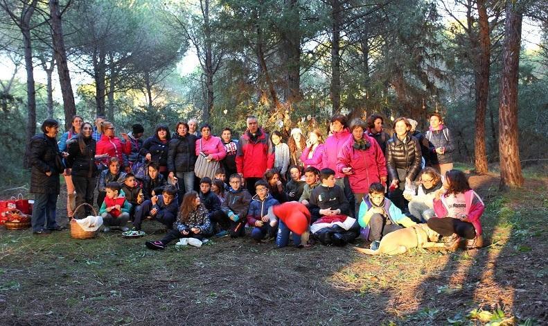 Albero della pineta di Is Arenas addobbato per il Natale