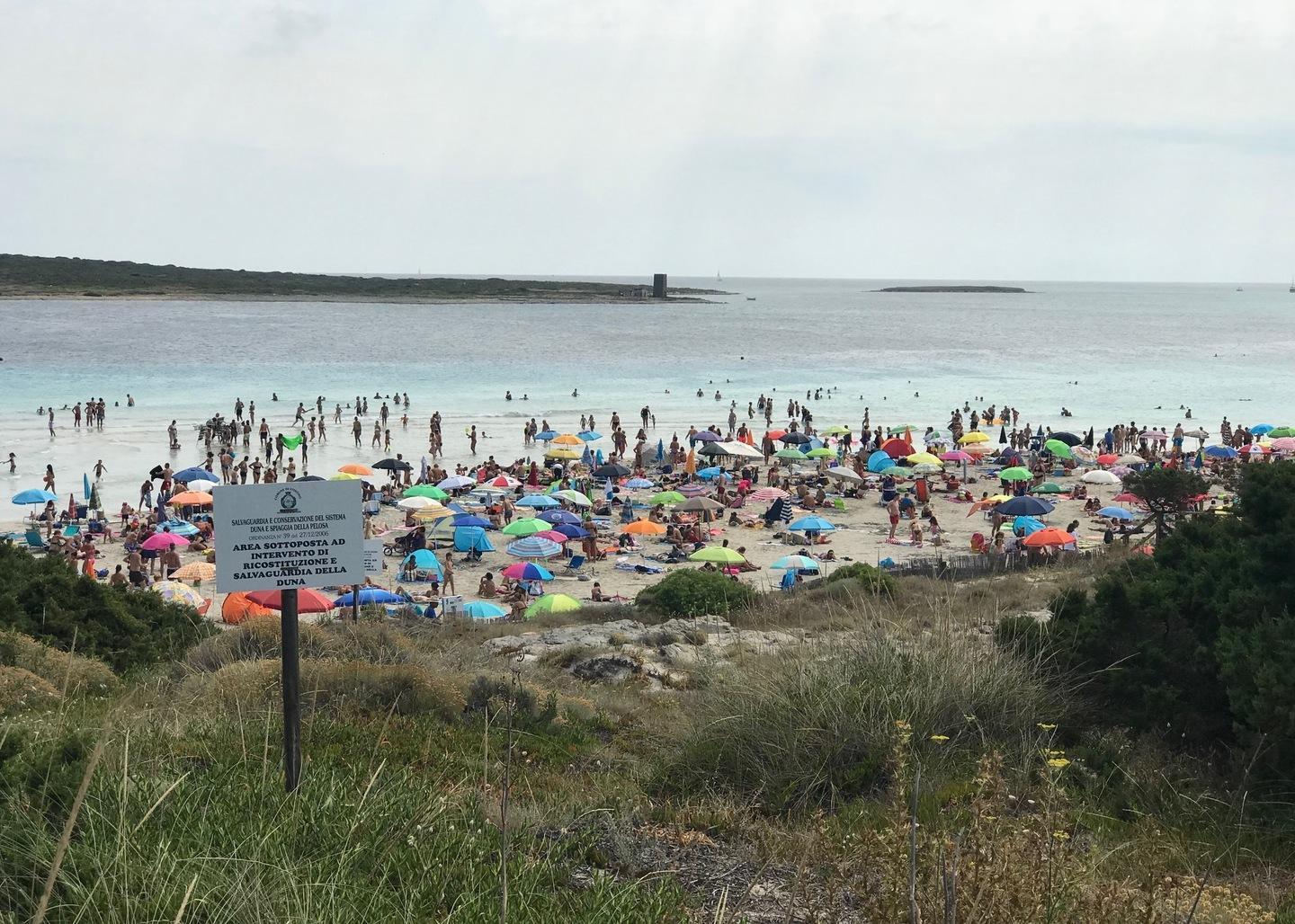 Parte l'iter degli espropri per far rinascere la Pelosa