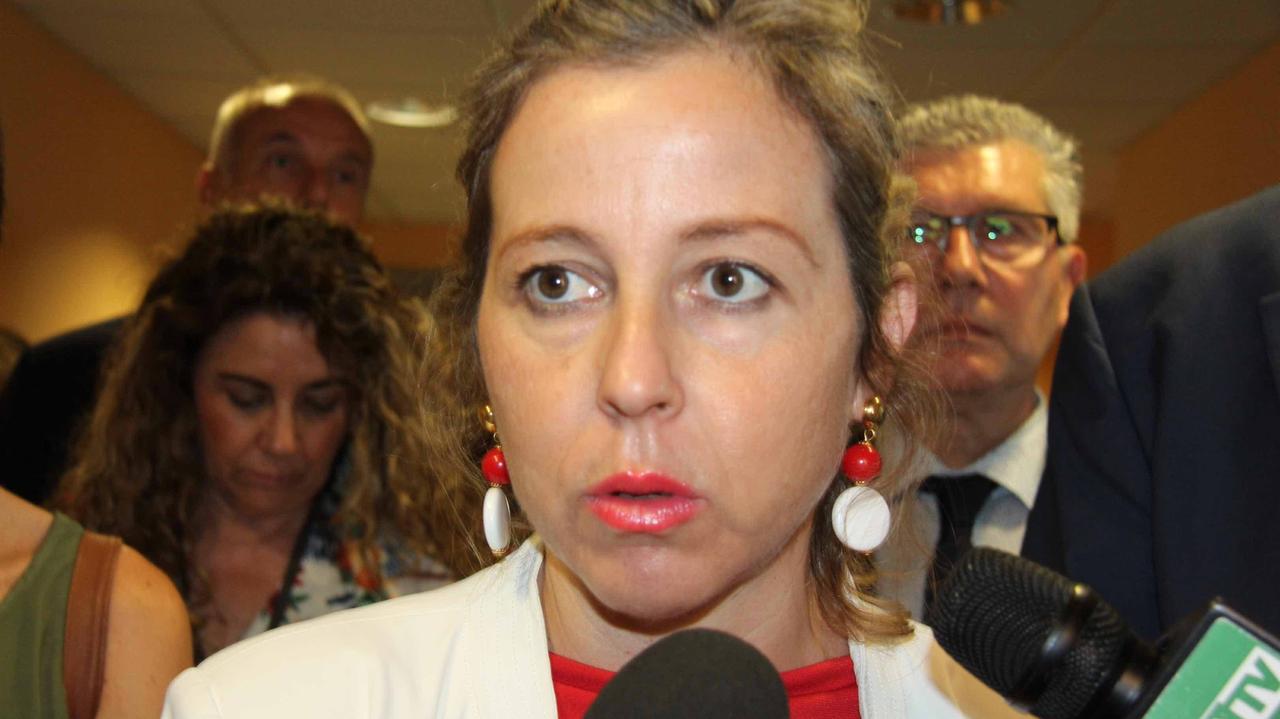 La ministra Giulia Grillo