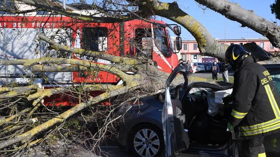 Partiti i tagli in viale Piaggio e sulla statale